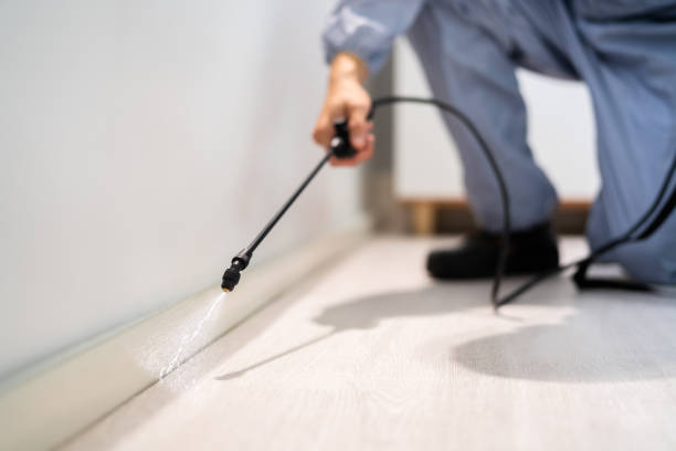Licensed Pest Control service in Magnolia Springs, AL - Show Me Pest Control