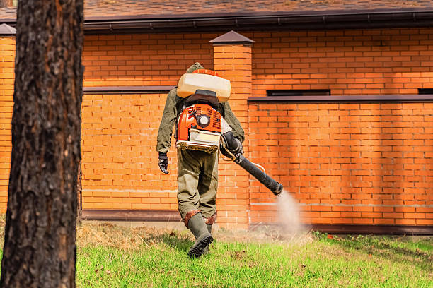 Bed Bug Clearance Verification and Documentation in Magnolia Springs